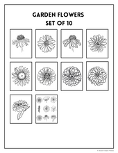 Load image into Gallery viewer, Coloring Book for Lahaina Disaster Relief // Watercolor Pages