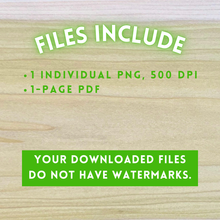 Load image into Gallery viewer, Hand-Drawn Sunflower Sugar Skull Template