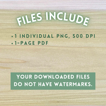 Load image into Gallery viewer, Hand-Drawn Barred Owl Template