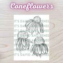 Load image into Gallery viewer, Hand-Drawn Coneflower Templates
