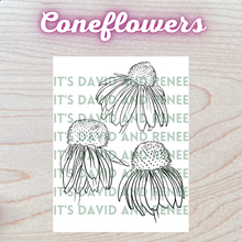 Load image into Gallery viewer, Hand-Drawn Coneflower Templates