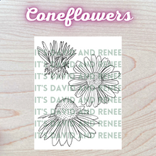 Load image into Gallery viewer, Hand-Drawn Coneflower Templates
