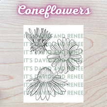 Load image into Gallery viewer, Hand-Drawn Coneflower Templates