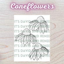 Load image into Gallery viewer, Hand-Drawn Coneflower Templates