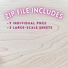 Load image into Gallery viewer, Hand-Drawn Coneflower Templates