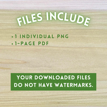 Load image into Gallery viewer, "Blooming Petals" Radial Design/Mandala Template