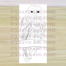 Load image into Gallery viewer, Hand-Drawn Barred Owl Template
