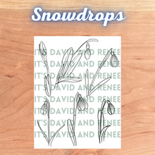 Load image into Gallery viewer, Hand-Drawn Snowdrop Templates