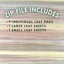 Load image into Gallery viewer, Hand-Drawn Ginkgo Leaf Templates