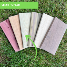 Load image into Gallery viewer, Individual Rainbow Chamfered Panels