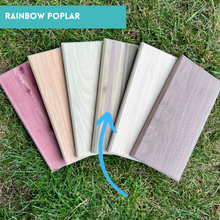 Load image into Gallery viewer, Individual Rainbow Chamfered Panels