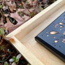 Load image into Gallery viewer, "Haeckel" Pyrography Art