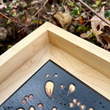 Load image into Gallery viewer, "Haeckel" Pyrography Art