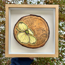 Load image into Gallery viewer, Dogwood on Live Edge Cherry I // Shadow Box Pyrography Art