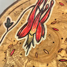 Load image into Gallery viewer, Wild Columbine on Live Edge Cherry // Shadow Box Pyrography Art