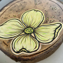 Load image into Gallery viewer, Dogwood on Live Edge Cherry II // Shadow Box Pyrography Art
