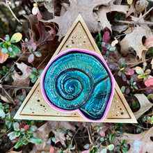 Load image into Gallery viewer, Curly Shell Shelf-Sitter Pyrography Art