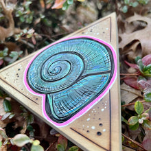 Load image into Gallery viewer, Curly Shell Shelf-Sitter Pyrography Art