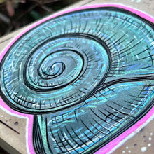 Load image into Gallery viewer, Curly Shell Shelf-Sitter Pyrography Art