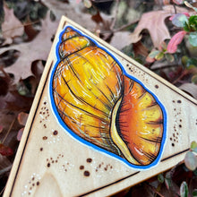 Load image into Gallery viewer, Yellow Periwinkle Shell Shelf-Sitter Pyrography Art