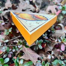 Load image into Gallery viewer, Yellow Periwinkle Shell Shelf-Sitter Pyrography Art