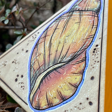 Load image into Gallery viewer, Yellow Periwinkle Shell Shelf-Sitter Pyrography Art
