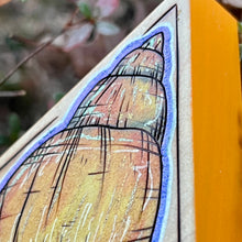 Load image into Gallery viewer, Yellow Periwinkle Shell Shelf-Sitter Pyrography Art