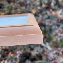 Load image into Gallery viewer, Poplar and Cherry Complete Framed Canvases