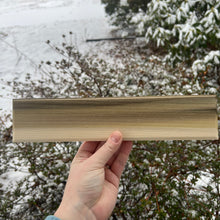 Load image into Gallery viewer, ✨Fancy✨ Rainbow Poplar Skinnies