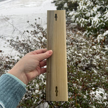 Load image into Gallery viewer, ✨Fancy✨ Rainbow Poplar Skinnies