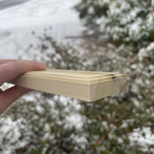 Load image into Gallery viewer, ✨Fancy✨ Rainbow Poplar Skinnies