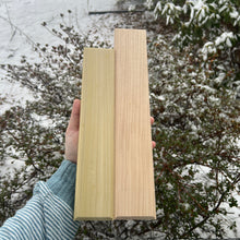 Load image into Gallery viewer, ✨Fancy✨ Greenish Poplar Skinnies