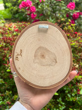 Load image into Gallery viewer, Rainbow Sunflower Pyrography Art