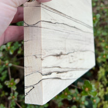 Load image into Gallery viewer, Spalted Poplar Square Panels