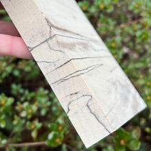 Load image into Gallery viewer, Spalted Poplar Square Panels