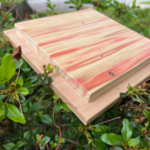 Load image into Gallery viewer, Mounted Box Elder Square Panels