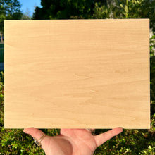 Load image into Gallery viewer, 9" x 12" Basswood Panel