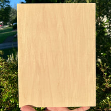 Load image into Gallery viewer, 9" x 12" Basswood Panel