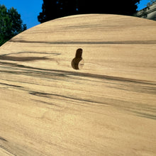 Load image into Gallery viewer, 12" Circle Spalted Poplar Panels