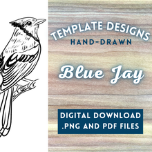 Load image into Gallery viewer, Blue Jay Template