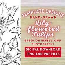 Load image into Gallery viewer, Hand-Drawn Lily-flowered Tulips Templates