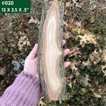 Load image into Gallery viewer, Live Edge Maple Panels
