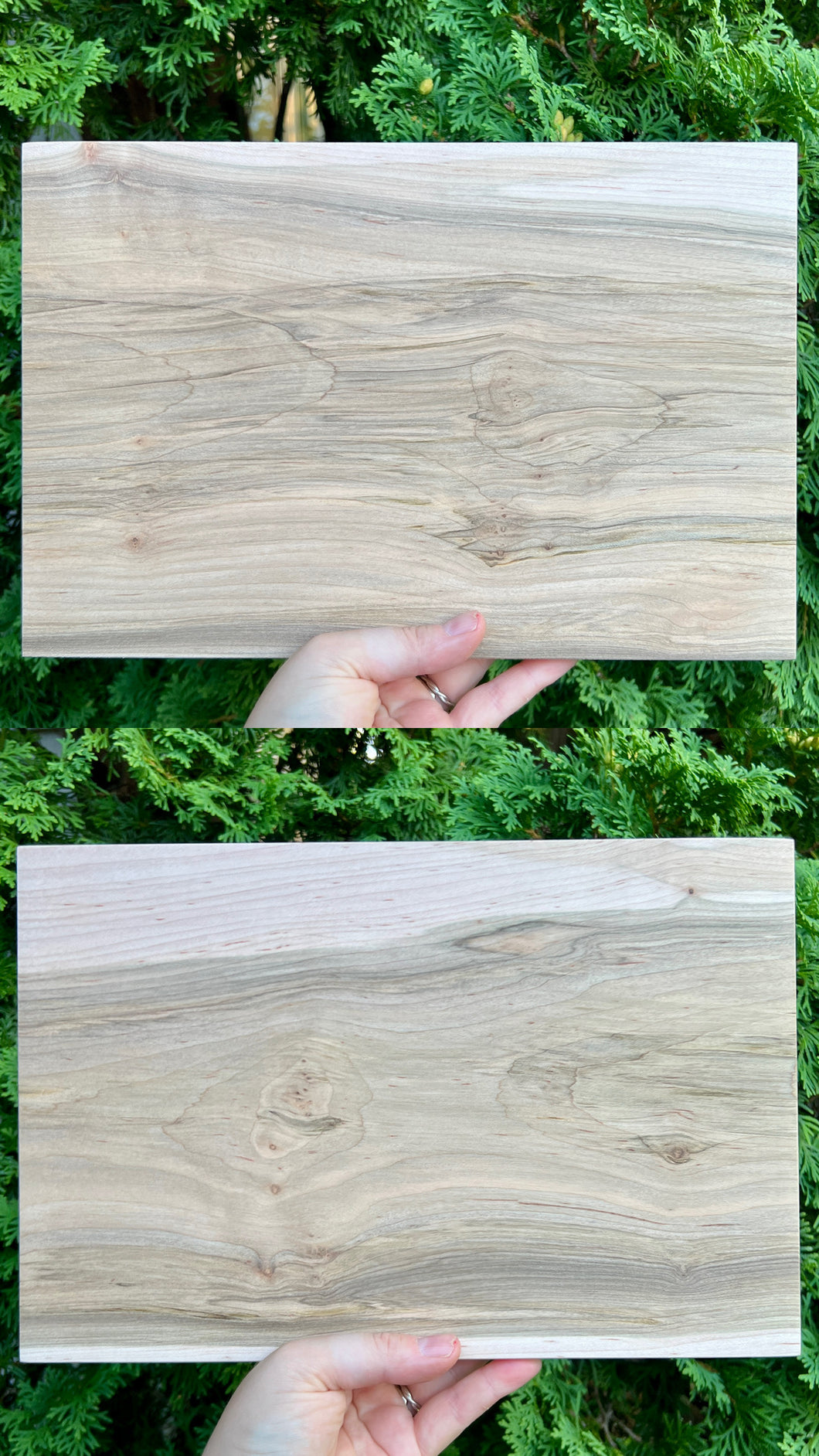 8 x 12” Black Maple Panels