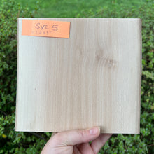 Load image into Gallery viewer, Thick Sycamore Live-Edge Wood Panels
