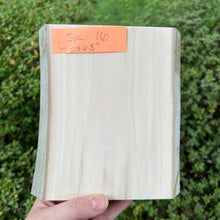 Load image into Gallery viewer, Thick Sycamore Live-Edge Wood Panels
