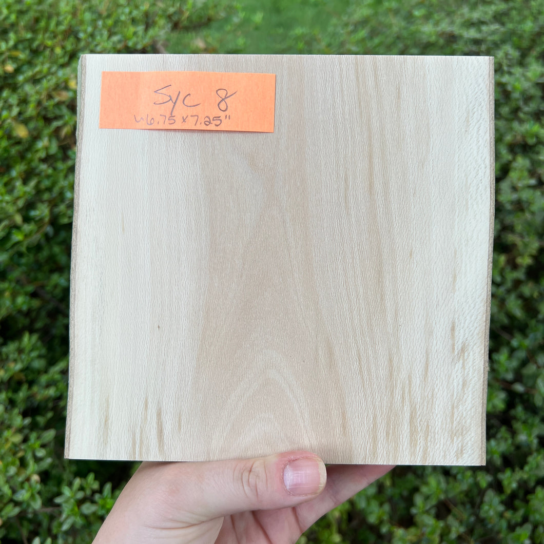 Thick Sycamore Live-Edge Wood Panels