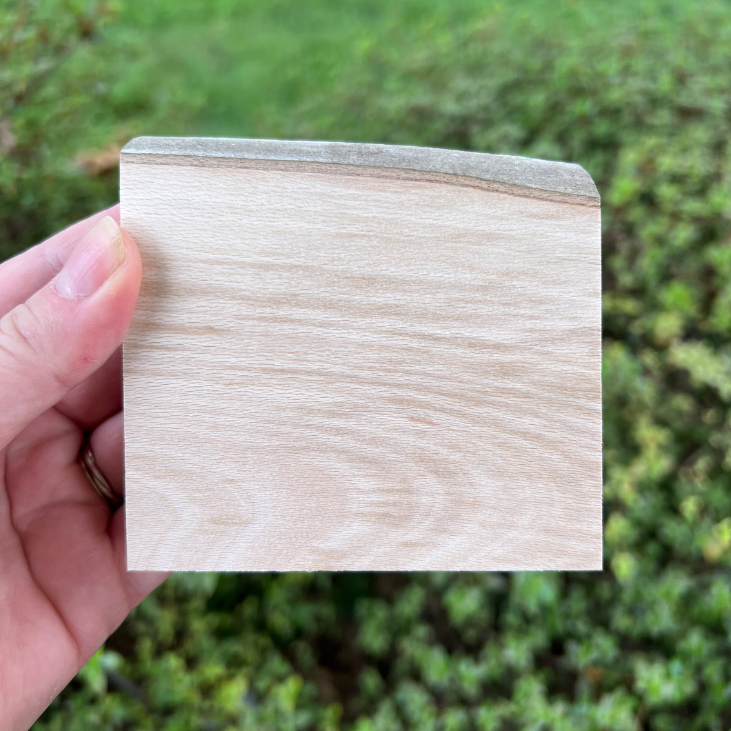 Set of 4 Sycamore Shelf Sitters (Set2)