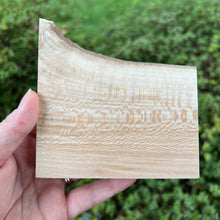 Load image into Gallery viewer, Set of 4 Sycamore Shelf Sitters (Set1)
