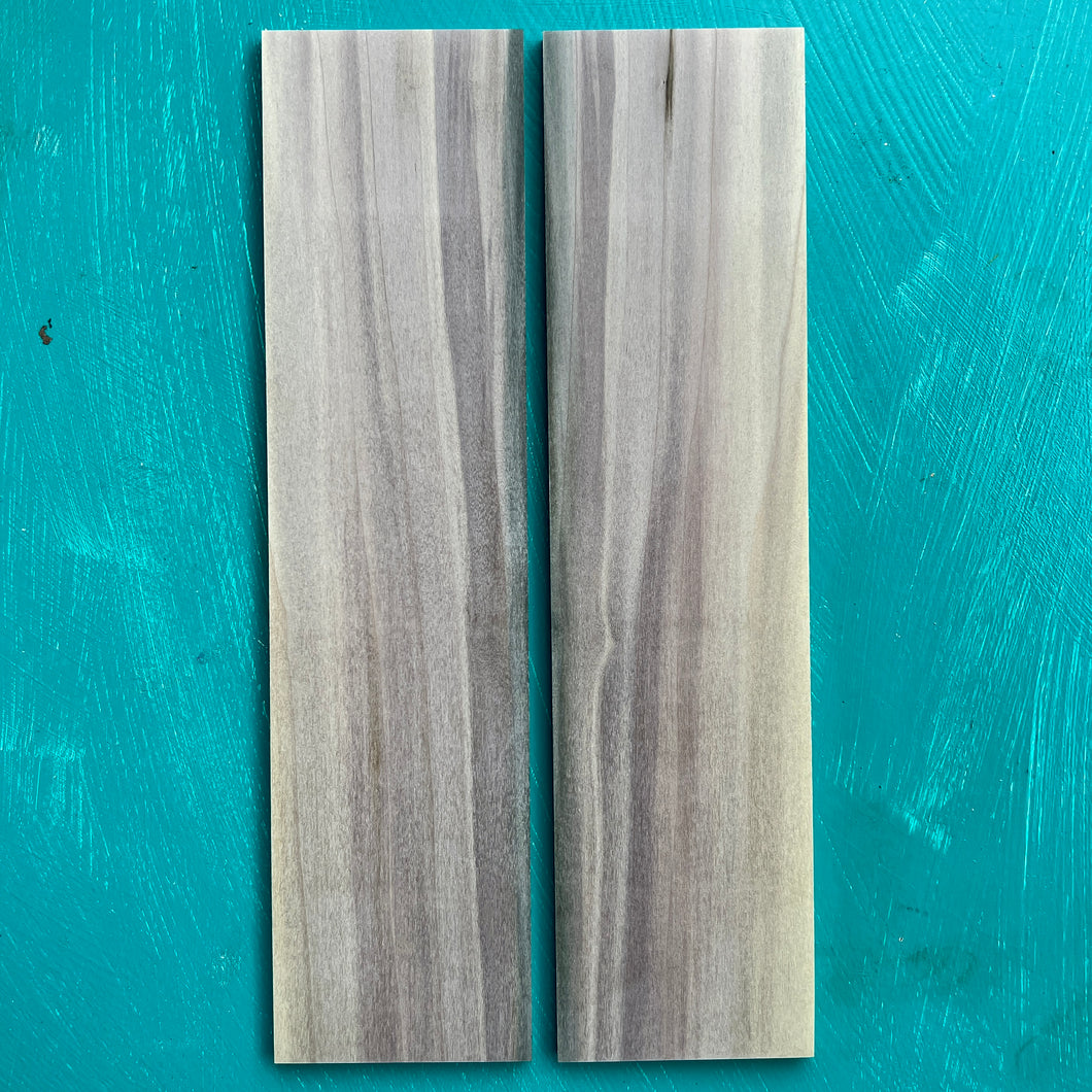 BOOKMATCH Rainbow Poplar Canvas