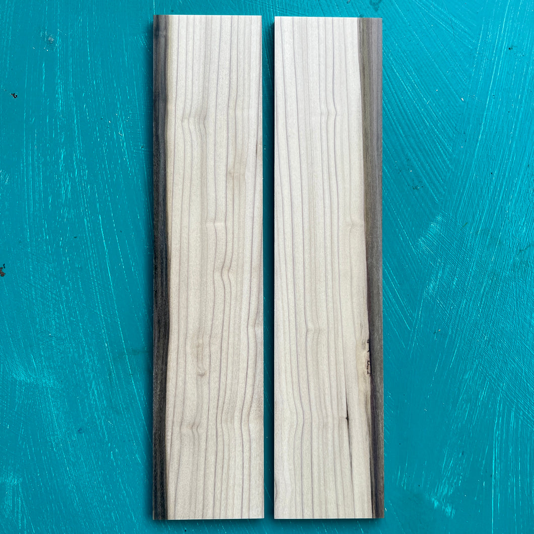 LONG BOIS Rainbow Poplar Canvas